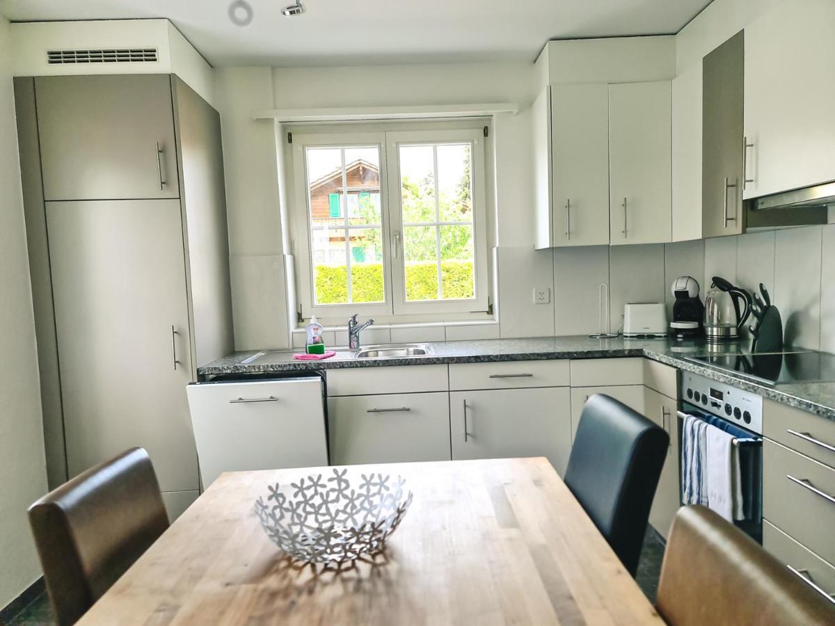 Kreuz Apartment - Aare Jungfrau Ag Wilderswil Εξωτερικό φωτογραφία