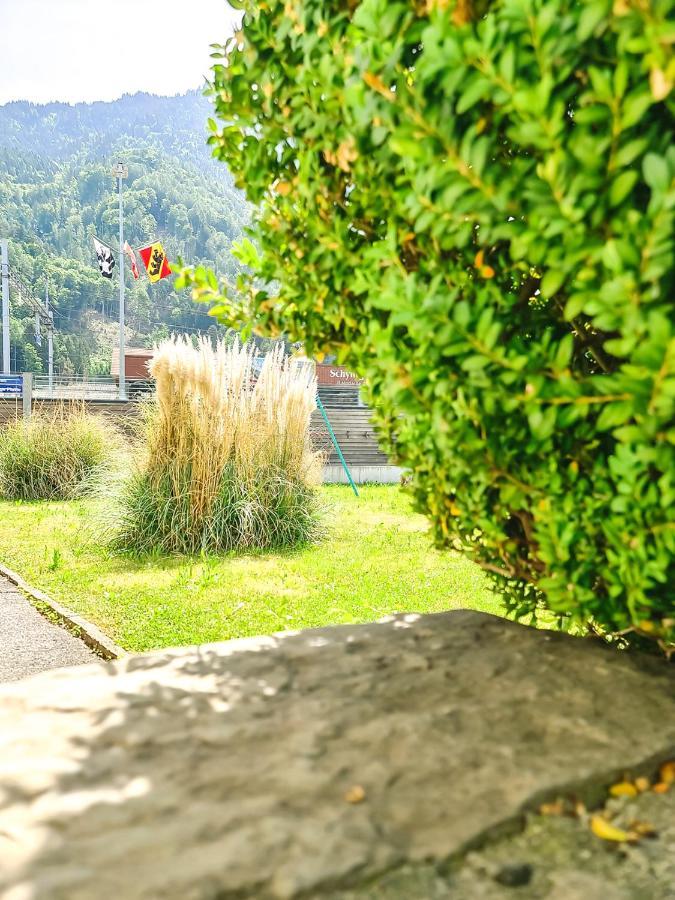 Kreuz Apartment - Aare Jungfrau Ag Wilderswil Εξωτερικό φωτογραφία